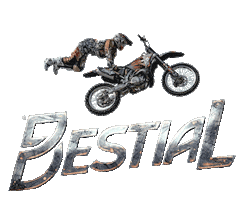 Bike Motocross Sticker by BestialShow