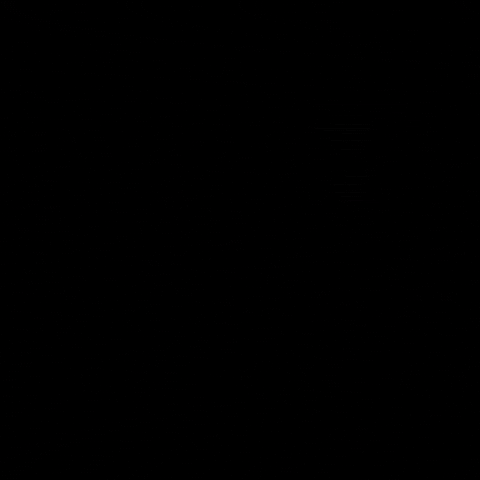 FL1 GIF