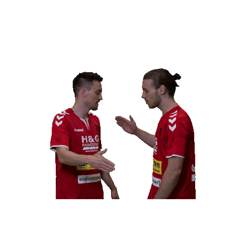 TuS Haren Handballer Sticker