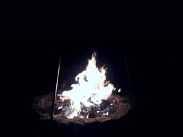 Aho GIF