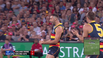 round 3 celebration GIF by Adelaide Crows