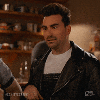 What Are You Talking About Pop Tv GIF by Schitt's Creek