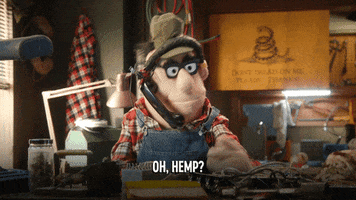 Weed Smoking GIF by Crank Yankers