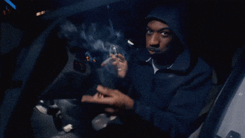 Bruce Ball Hogs GIF by Protect