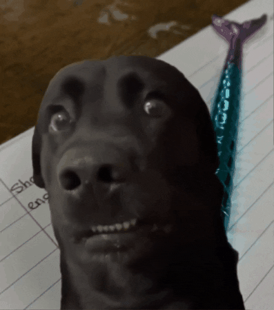Inky Pinky Ponky Meme Gif GIF