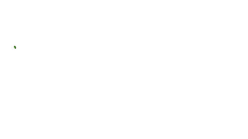 Ferrara Carwashing Sticker by CATTELWASH