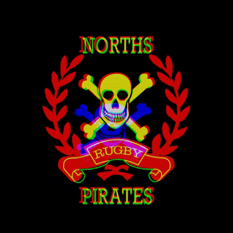NorthsPirates rugby pirates northspirates GIF