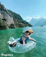 Vacation Enjoy GIF