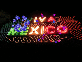Viva Mexico Travel GIF