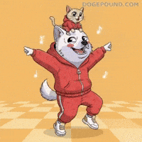 Happy Lets Go GIF by Doge Pound