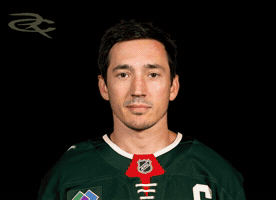 Minnesota Wild GIF by Respective