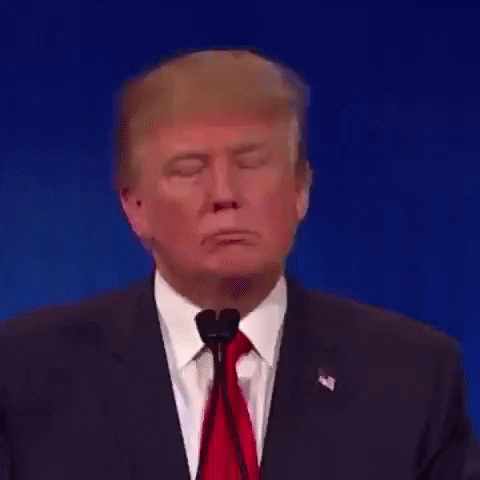 Donald Trump Head Nod GIF