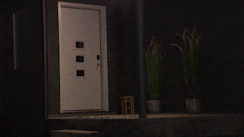 Welcome Home Love GIF by The Bachelor
