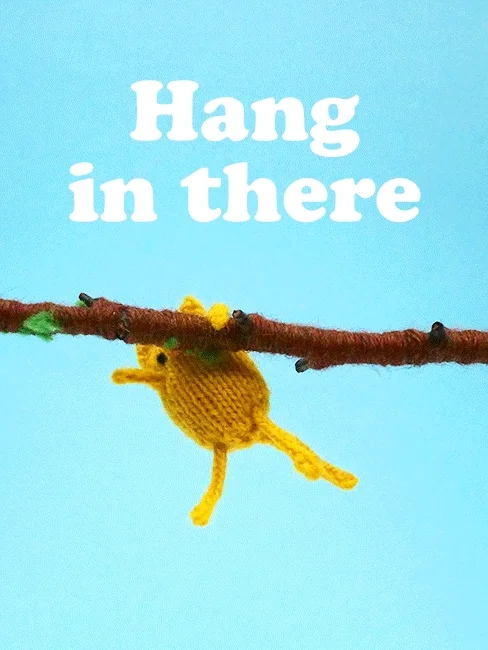 You Got This Hang In There GIF