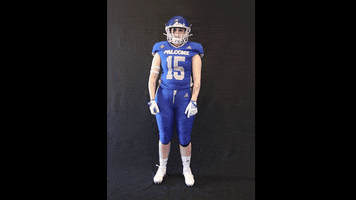 Dance Football GIF by utahfalconz
