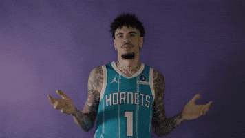 Lamelo Ball Basketball GIF by Charlotte Hornets