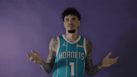 Lamelo Ball Basketball GIF by Charlotte Hornets