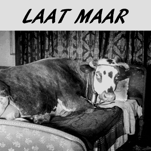 Storing Leave It GIF