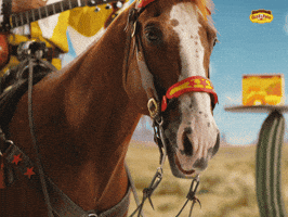 Cinco De Mayo GIF by Old El Paso