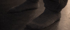 Tajh GIF by Studio Linq