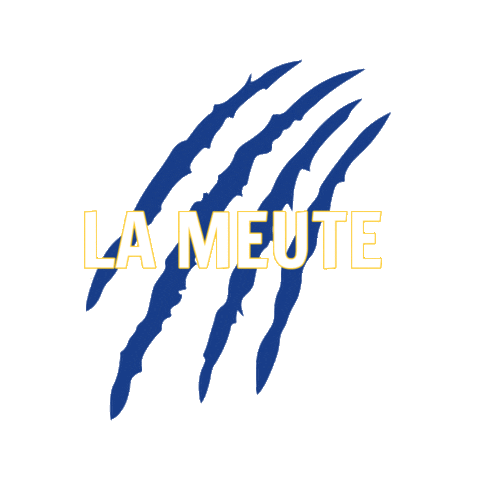 SaintAmandHandball Sticker