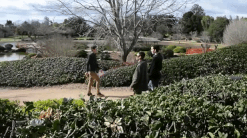 200.gif?cid=fc005b0889fdc909b893c119223dbcafa62bcce4cee031cb&rid=200.gif&ct=g