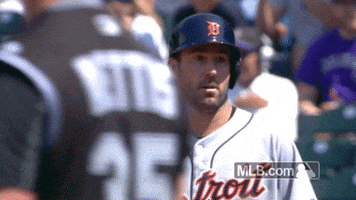 Detroit Tigers Shrug GIF by MLB