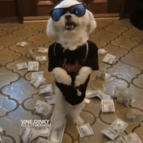Featured image of post Money Gifs Funny You can choose the most popular free funny money gifs to your phone or computer