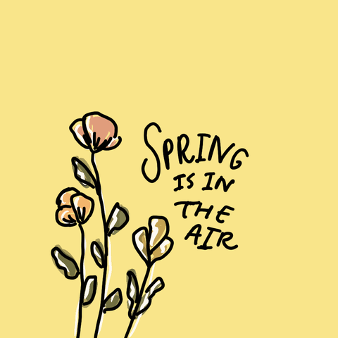 Spring is in theory lol right around the corner So I was wondering whats your
