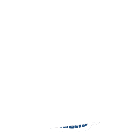 Tiger Sticker by Hikari Riders