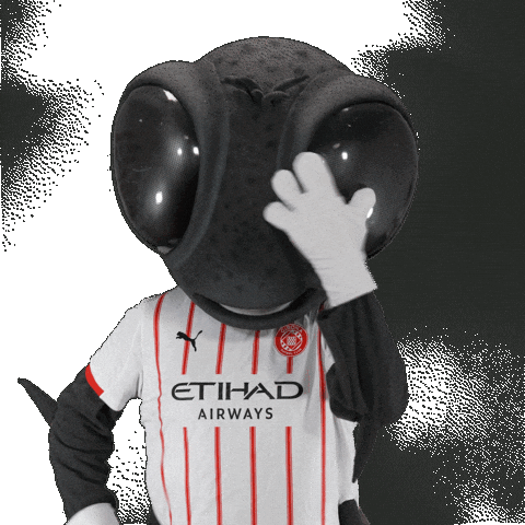 Futbol Club Sticker by Girona FC