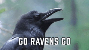 Baltimore Ravens Sport GIF by Sealed With A GIF