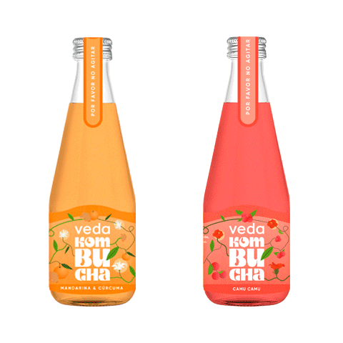 Kombuchadrink Sticker by vedakombucha