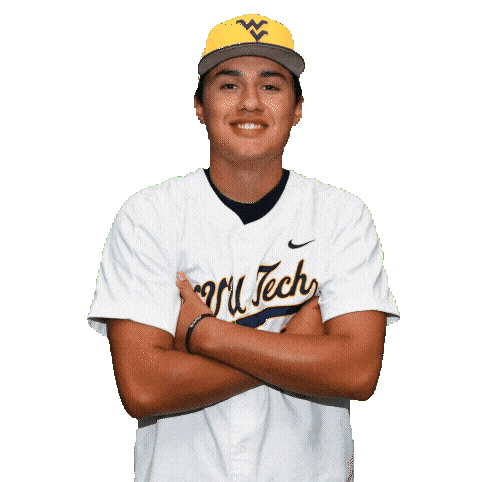 Baseball Sticker by WVU Tech Golden Bears