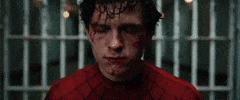 Tom Holland Spiderman GIF