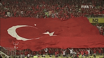 Beşiktaş JK Fan Flag (GIF) - All Waving Flags