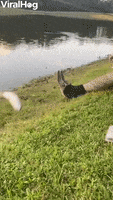 200.gif?cid=fc005b085c79edd75faf3ef904864bb69be8f550c0562961&rid=200.gif&ct=g