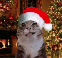 Merry Christmas Happy Holidays GIF