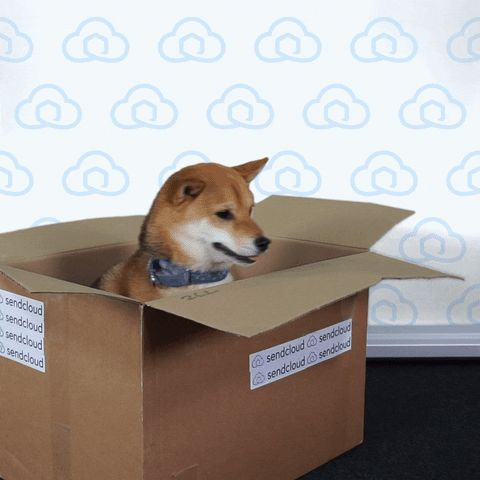 Sendcloud cute dog puppy box GIF