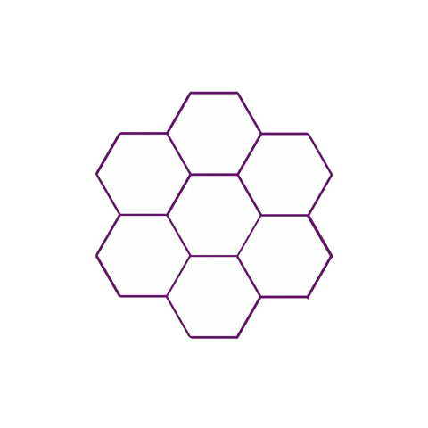 Raizen Sticker by Jornada Cultivar