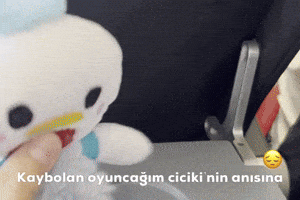 Kaybolan Oyuncağım Cicikinin Anısına GIF