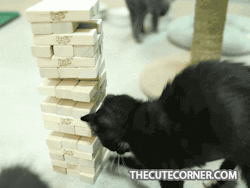 jenga