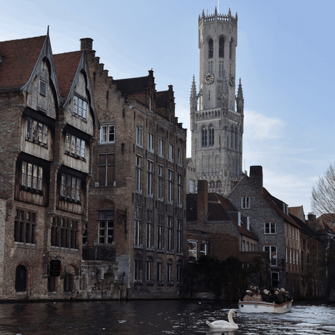 Belgium GIF