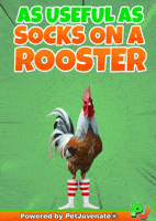 Henlo Hooman Fren GIF by PetJuvenate - PJ