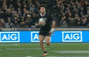 france rugby GIF