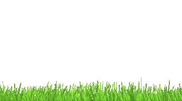 Connect Ground Sticker by Get Grounded Shop