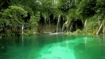 croatia lakes GIF