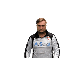 Vlaggen Sticker by Sparta Enschede het Zevende