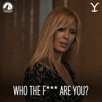 Angry Who Are You GIF by Yellowstone