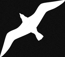 Niagara Takes Flight GIF by Niagara Parks